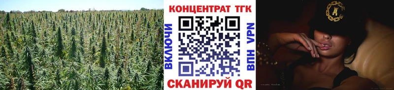 Купить где  Ильский  ТГК THC oil 