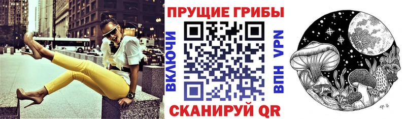 Псилоцибиновые грибы ЛСД  Купить закладки  Ильский 