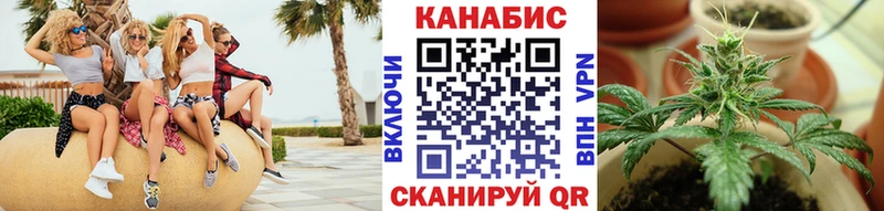 Бошки марихуана THC 21% Ильский
